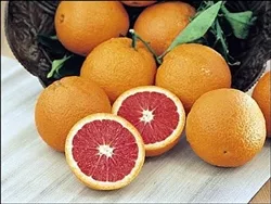 RED NAVEL ORANGE– Citrus sinensis ‘Cara Cara’ ZONE 9a