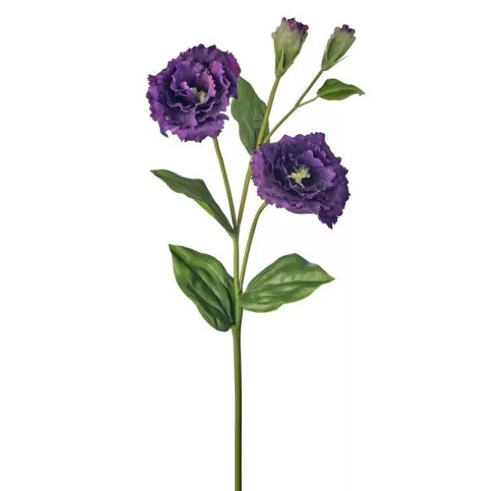 Regency, Just Cut Lisianthus, Purple, 24.5"