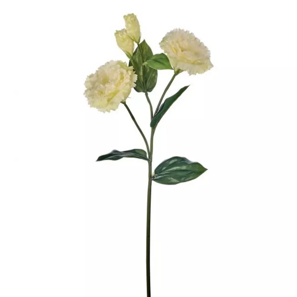 Regency, Just Cut Lisianthus, White/Green, 24.5