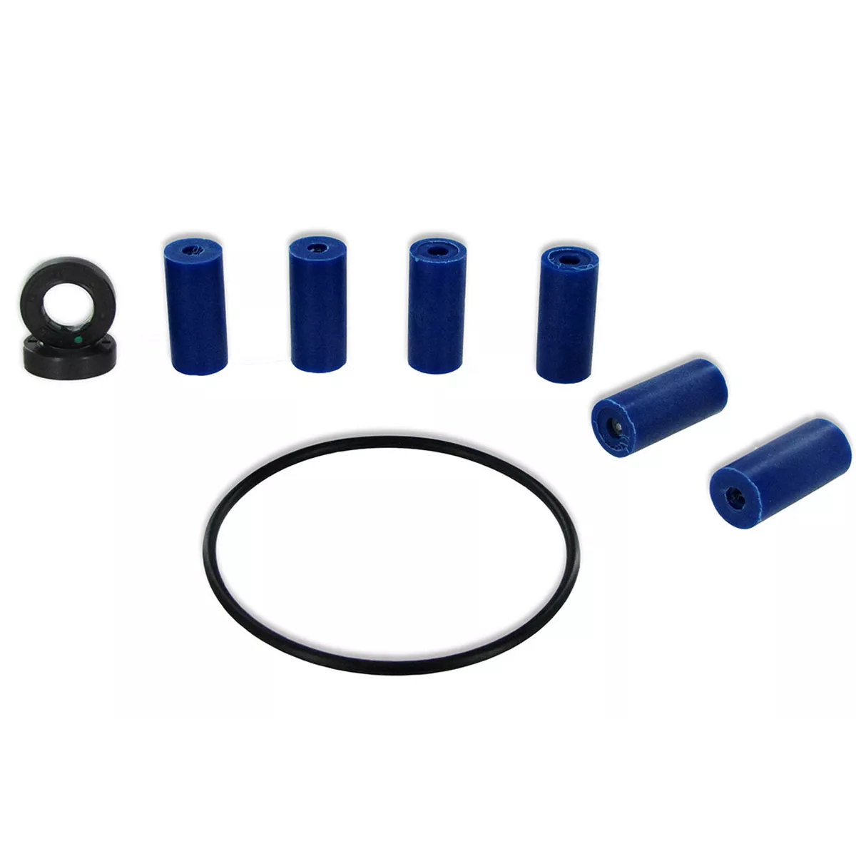 Repair Kit for Hypro 6500 Pump - 3430-0380