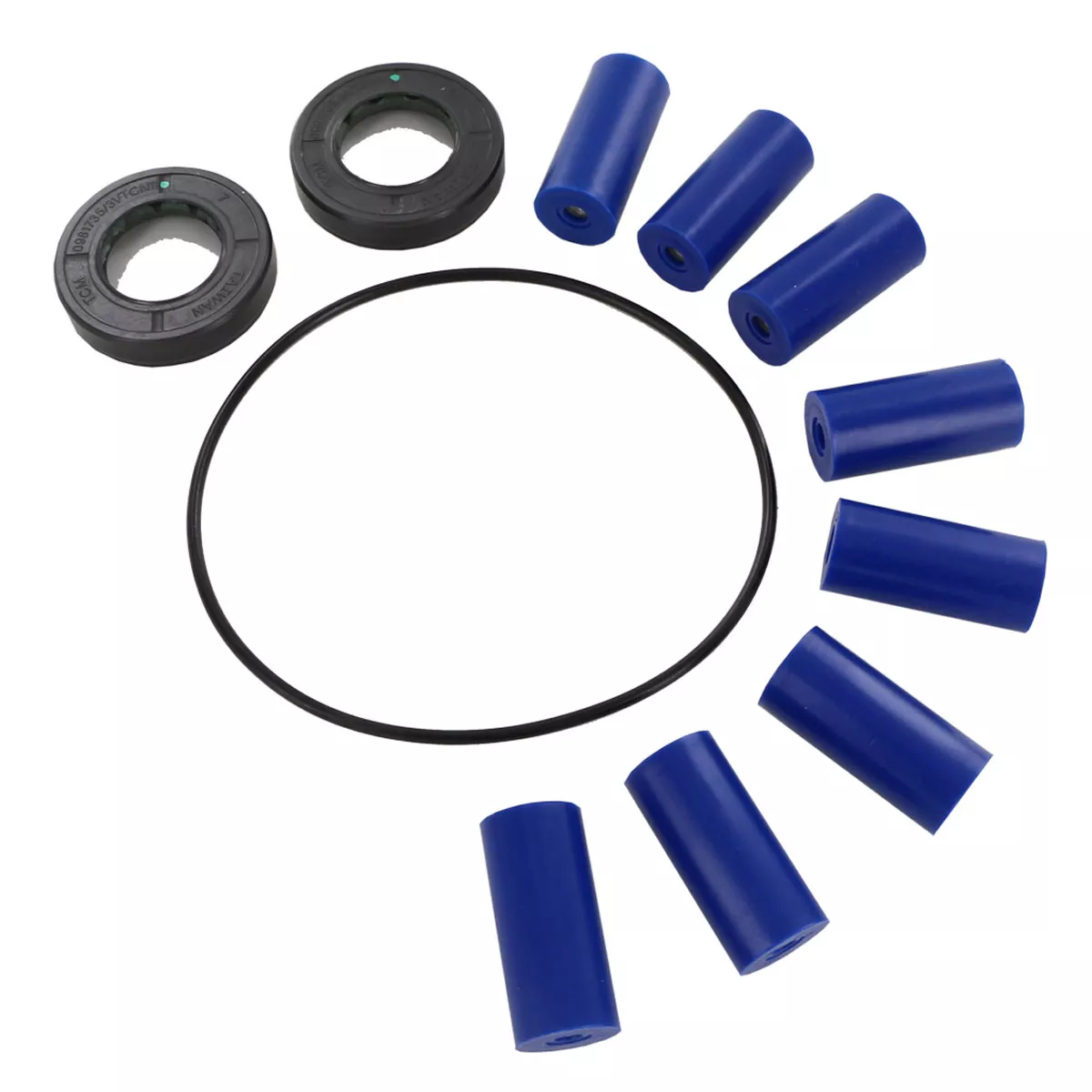 Repair Kit for the Hypro 7560 Roller Pump