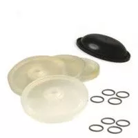 Repair Kits for the Hypro D160 Diaphragm Pump