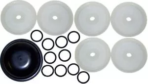 Repair Kits for the Hypro D250 Diaphragm Pump