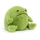 Ricky Rain Frog
