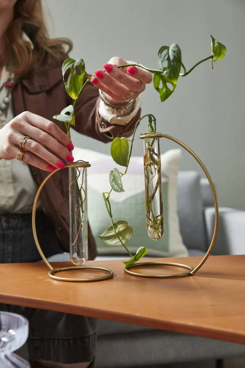 RIVIERA PROPAGATION STAND