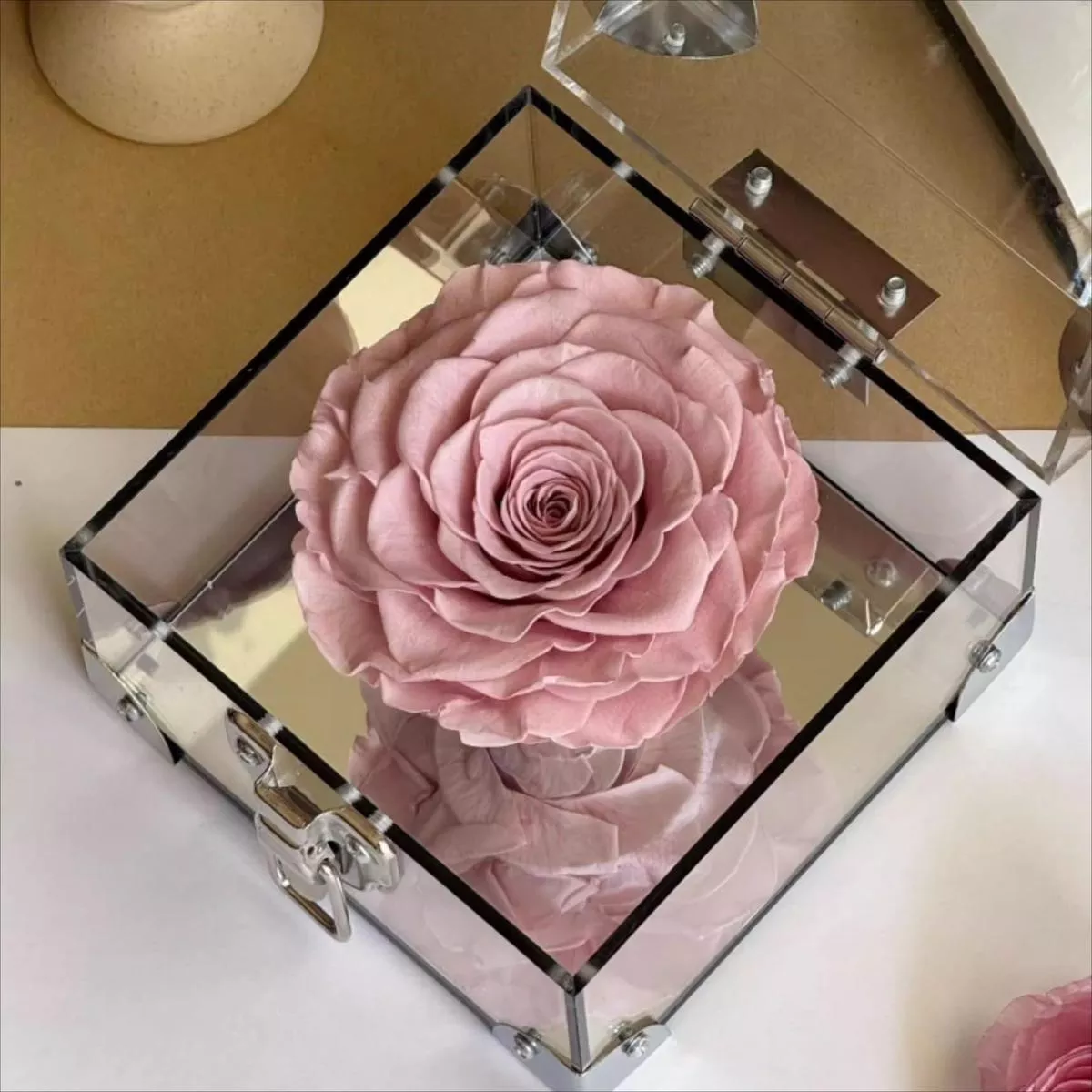 Rose Treasure BoxPreserved Rose Collection – Cappuccino