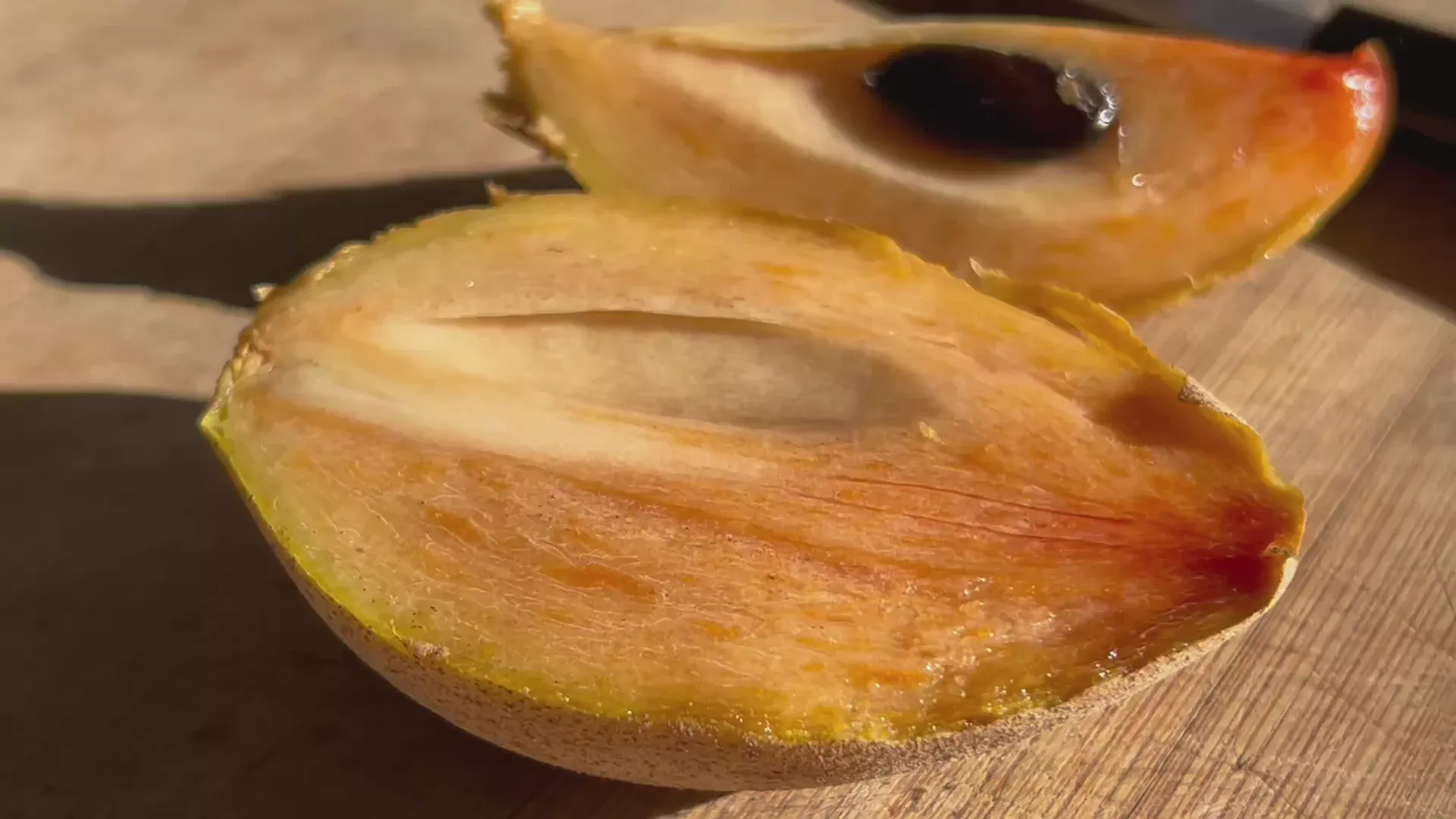 Sapodilla Tree 'Alano'