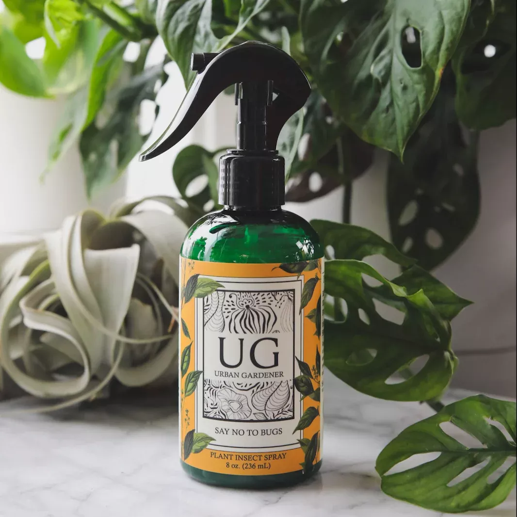 Say No To Bugs - Natural Houseplant Insect Treatment