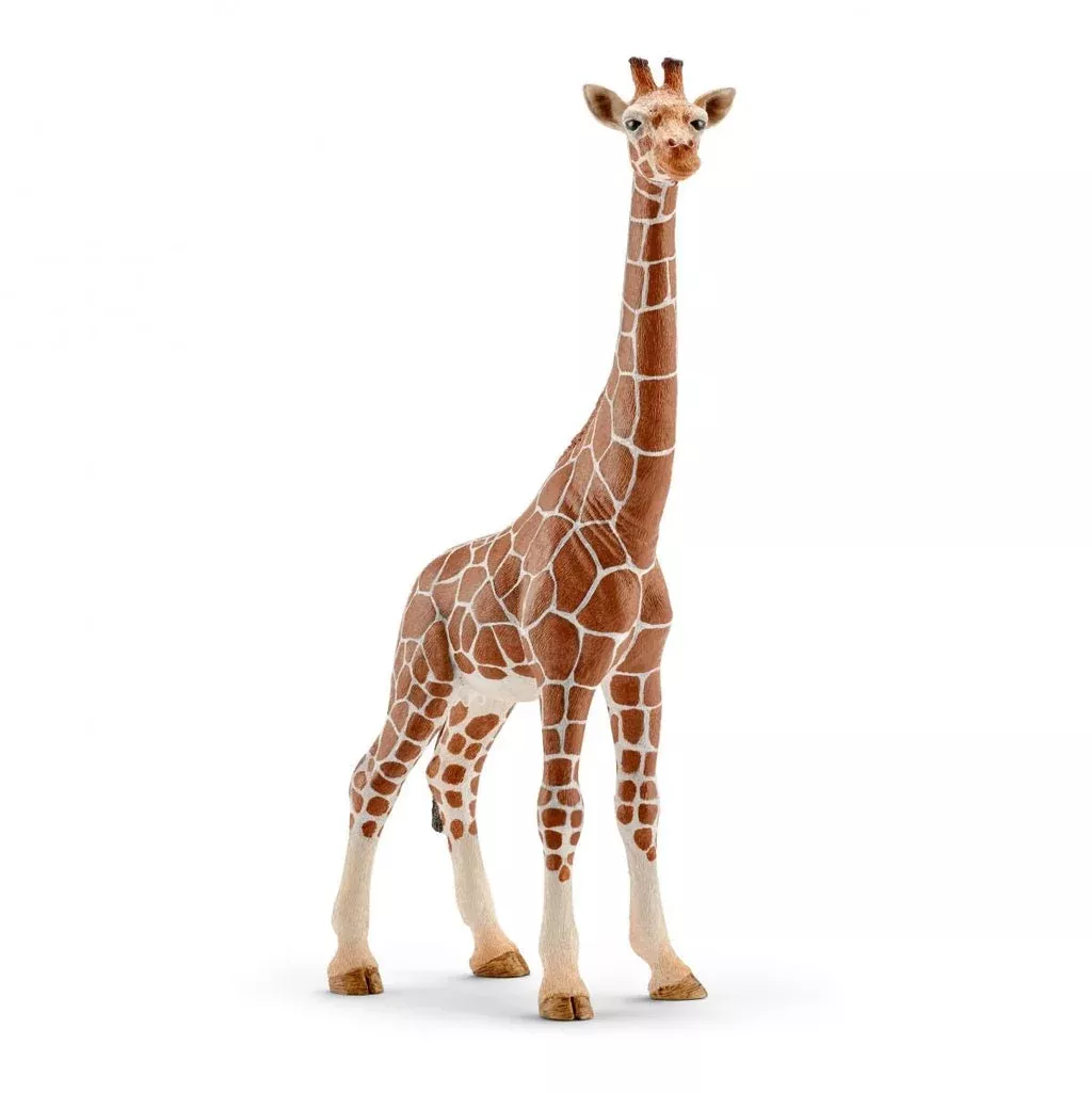 Schleich Giraffe, Female