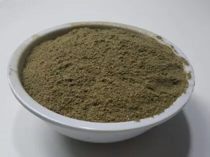 Scutellaria Laterifolia (Mad Dog Skullcap) Powder