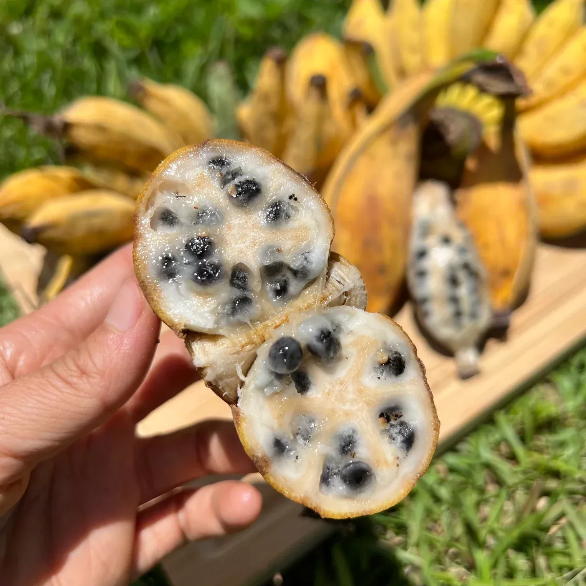 Seeded Banana