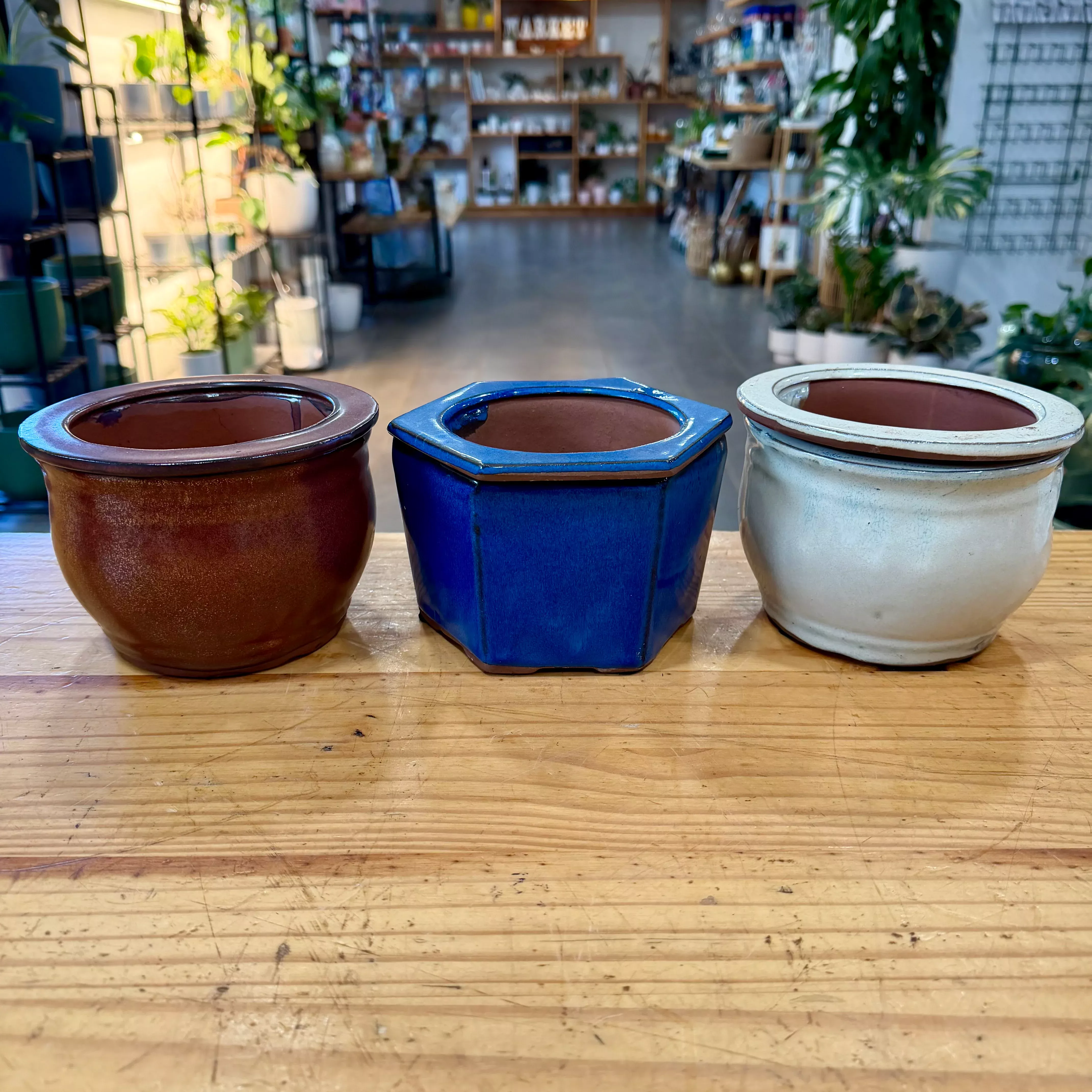 Self Watering -Ceramic Planter