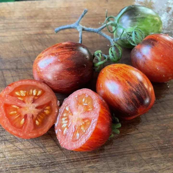Shadow Boxing Type 4 Tomato Seeds