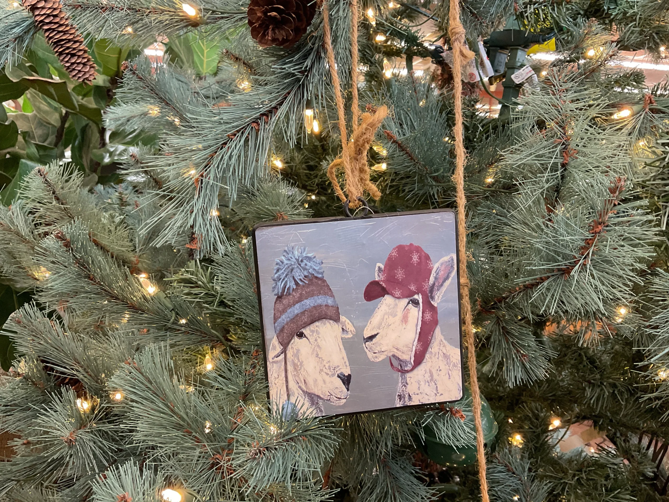 Sheep w Winter Hat