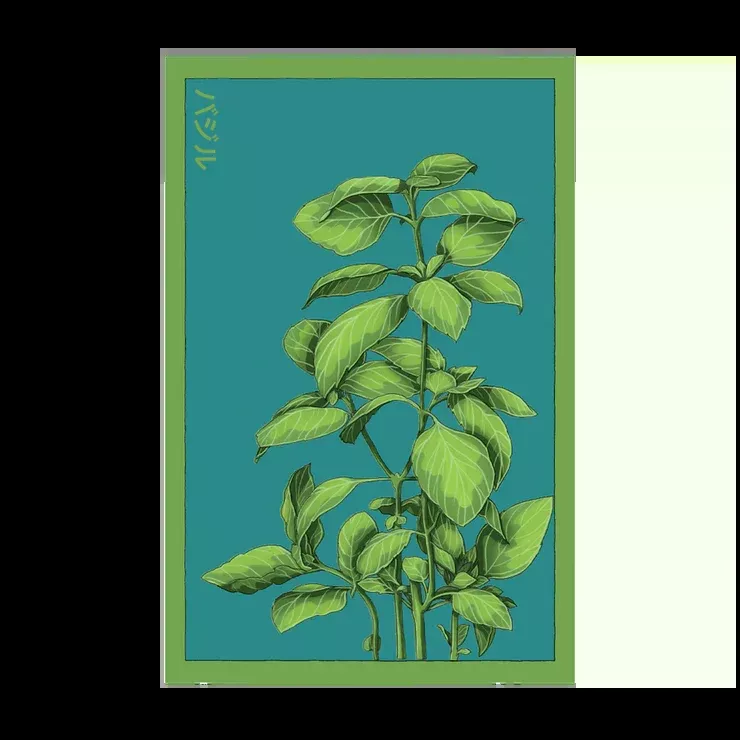 Shido Basil Seed Packet