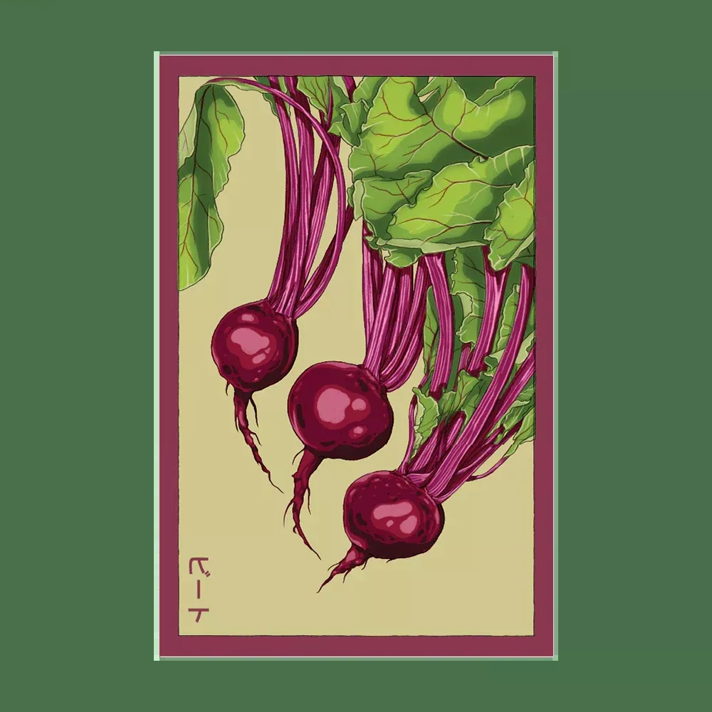 Shido Beet Seed Packet