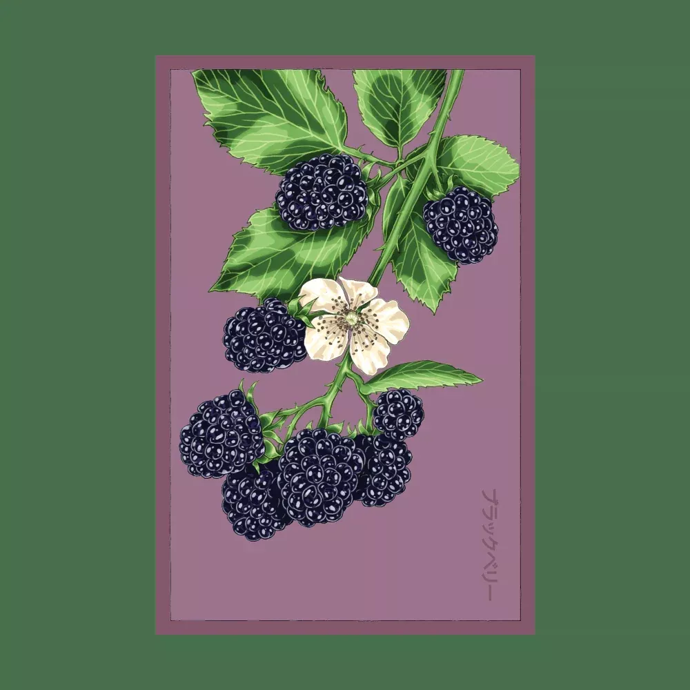 Shido Blackberry Flower Seed Packet