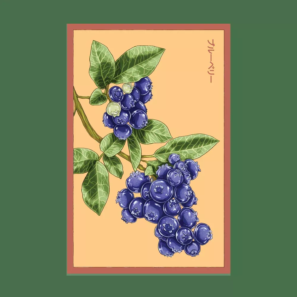 Shido Blueberry Flower Seed Packet
