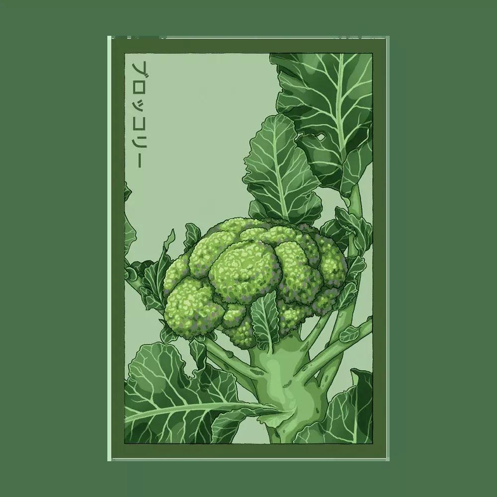 Shido Broccoli Seed Packet