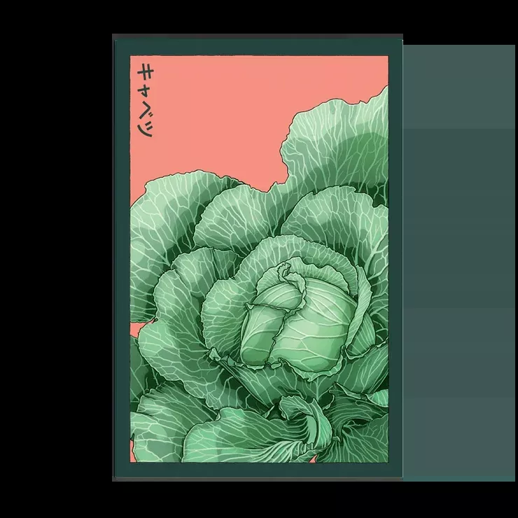 Shido Cabbage Seed Packet