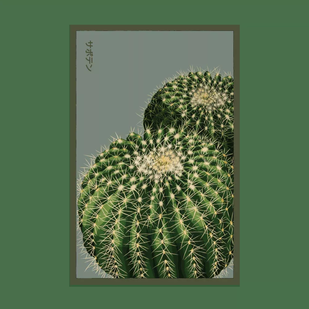 Shido Cactus Seed Packet