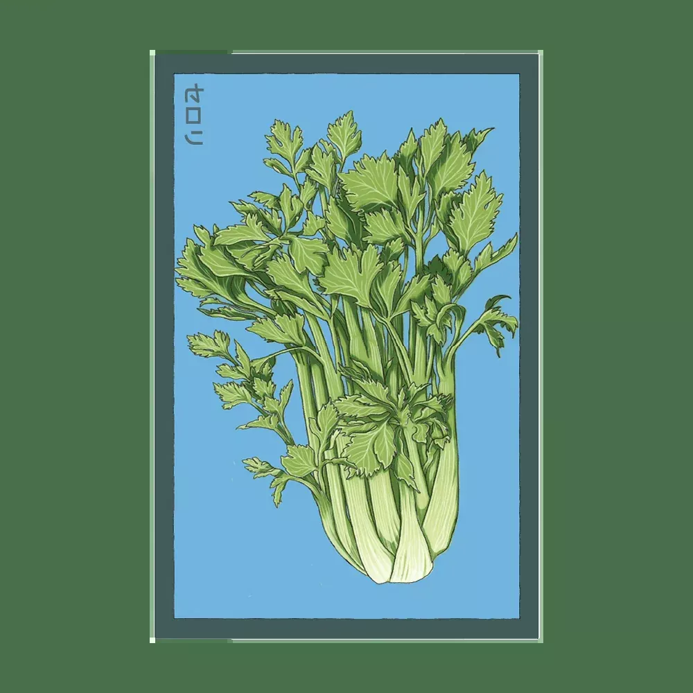 Shido Celery Seed Packet