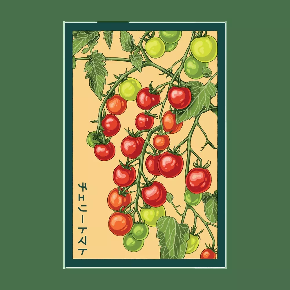Shido Cherry Tomato Seed Packet