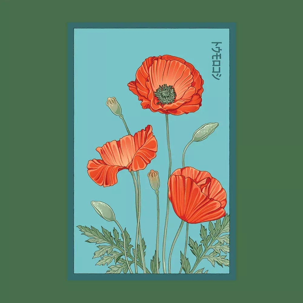 Shido Corn Poppy Seed Packet