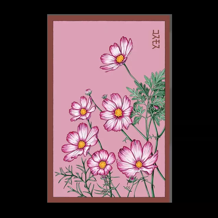 Shido Cosmos Seed Packet