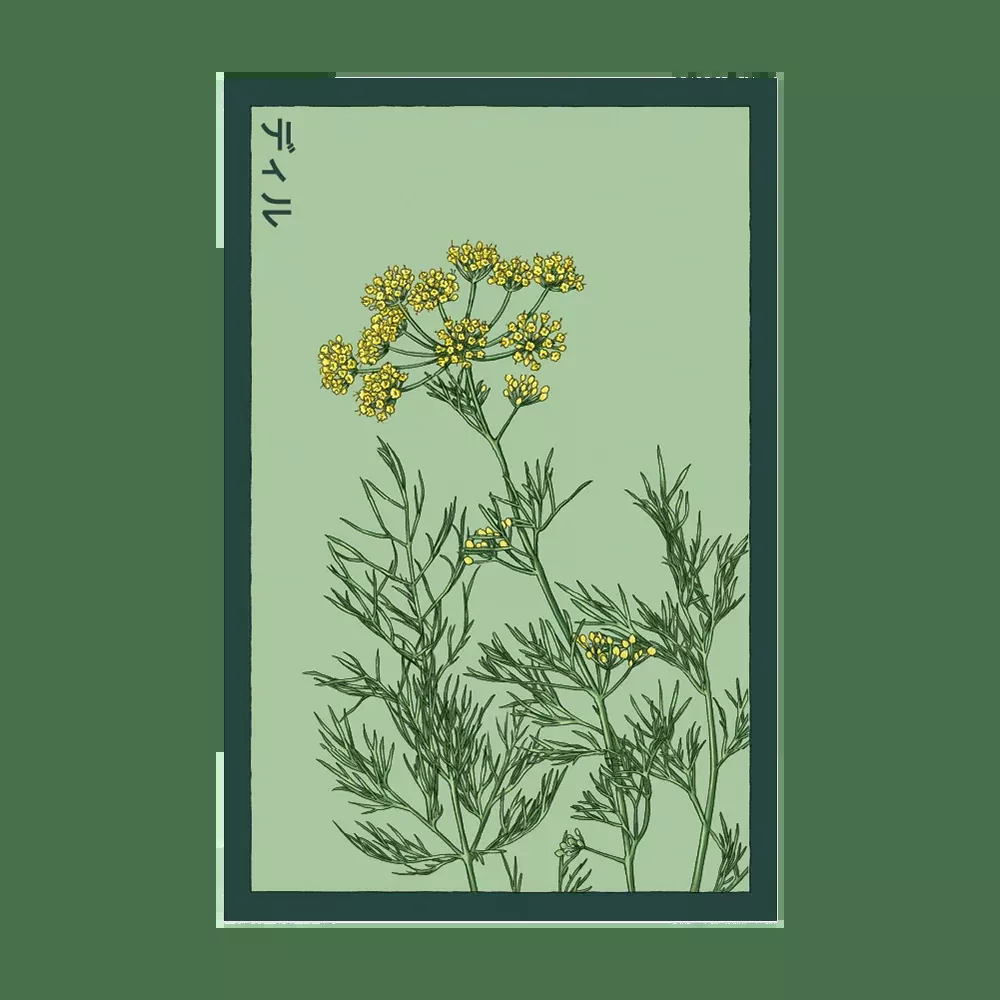 Shido Dill Seed Packet
