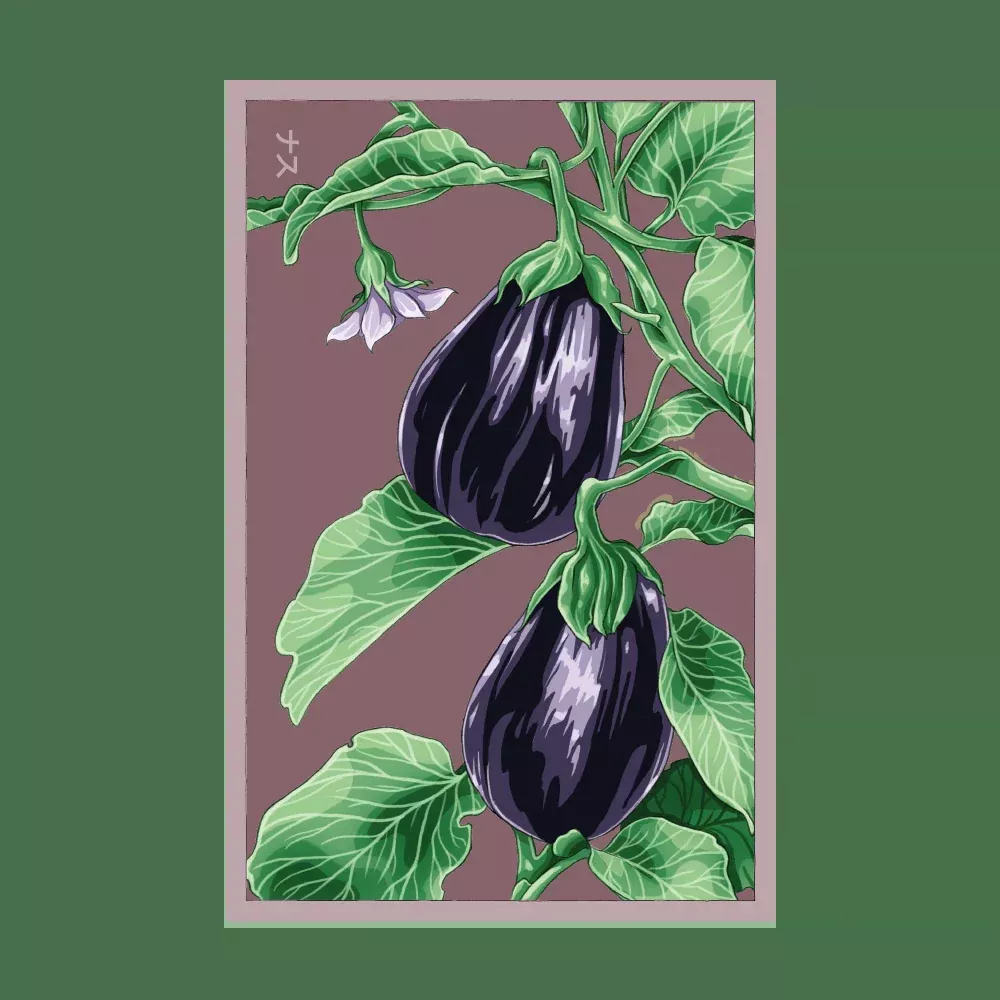 Shido Eggplant 'Black Beauty' Seed Packet