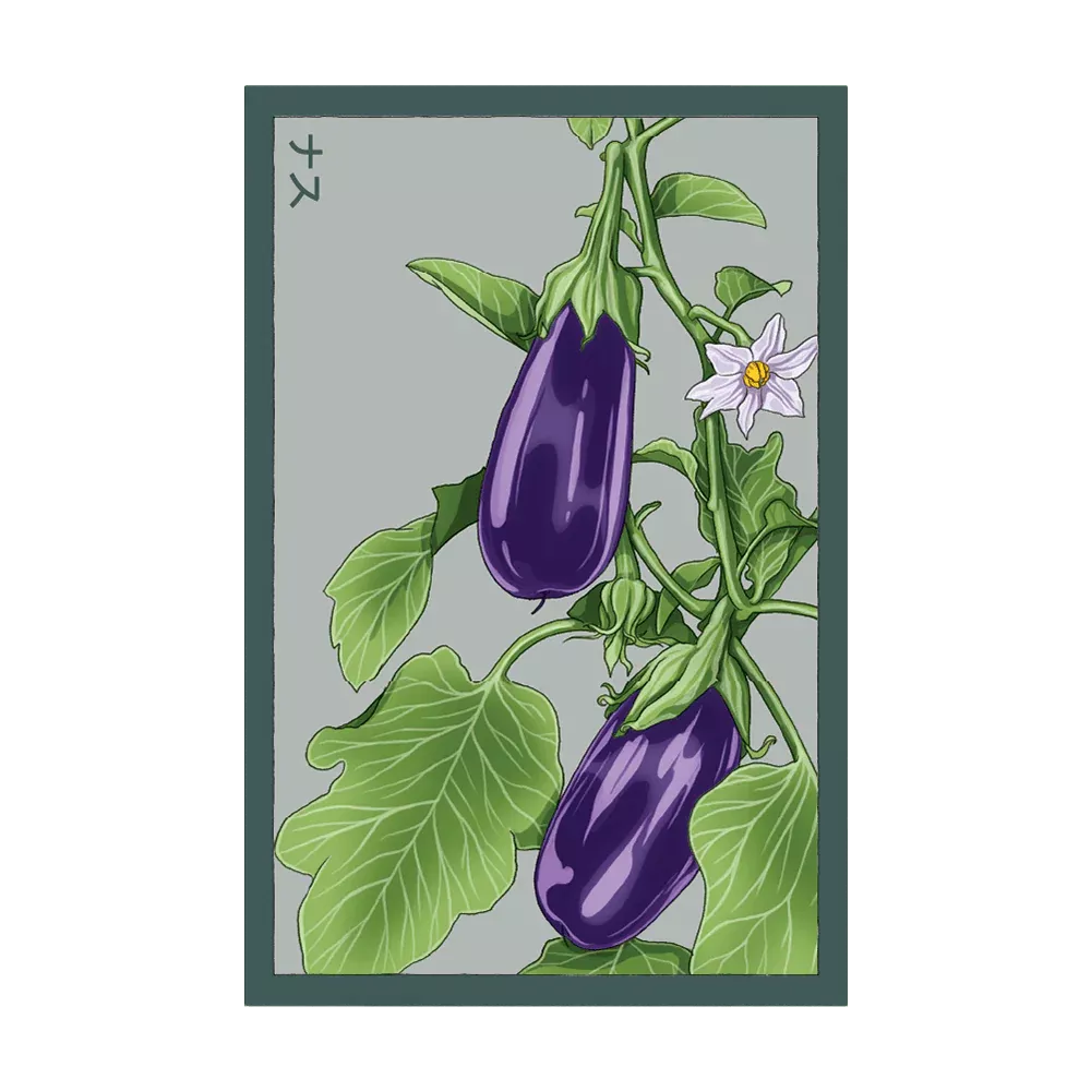 Shido Eggplant Seed Packet