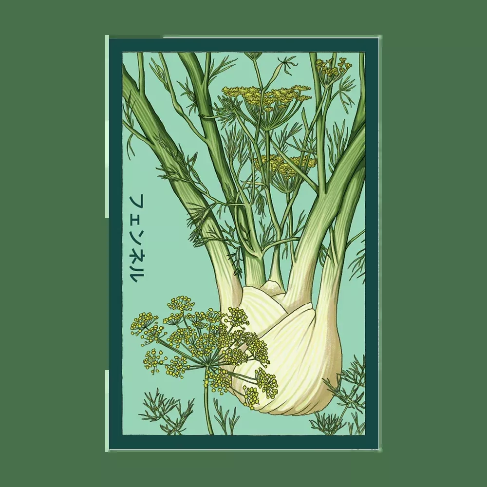 Shido Fennel Seed Packet