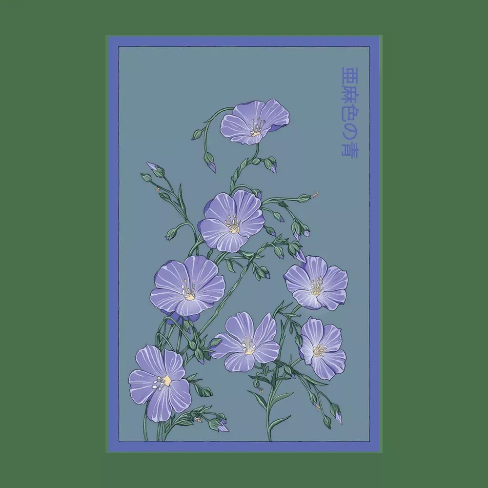 Shido Flax Seed Packet