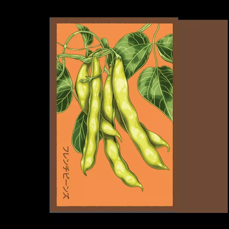 Shido French Beans Seed Packet