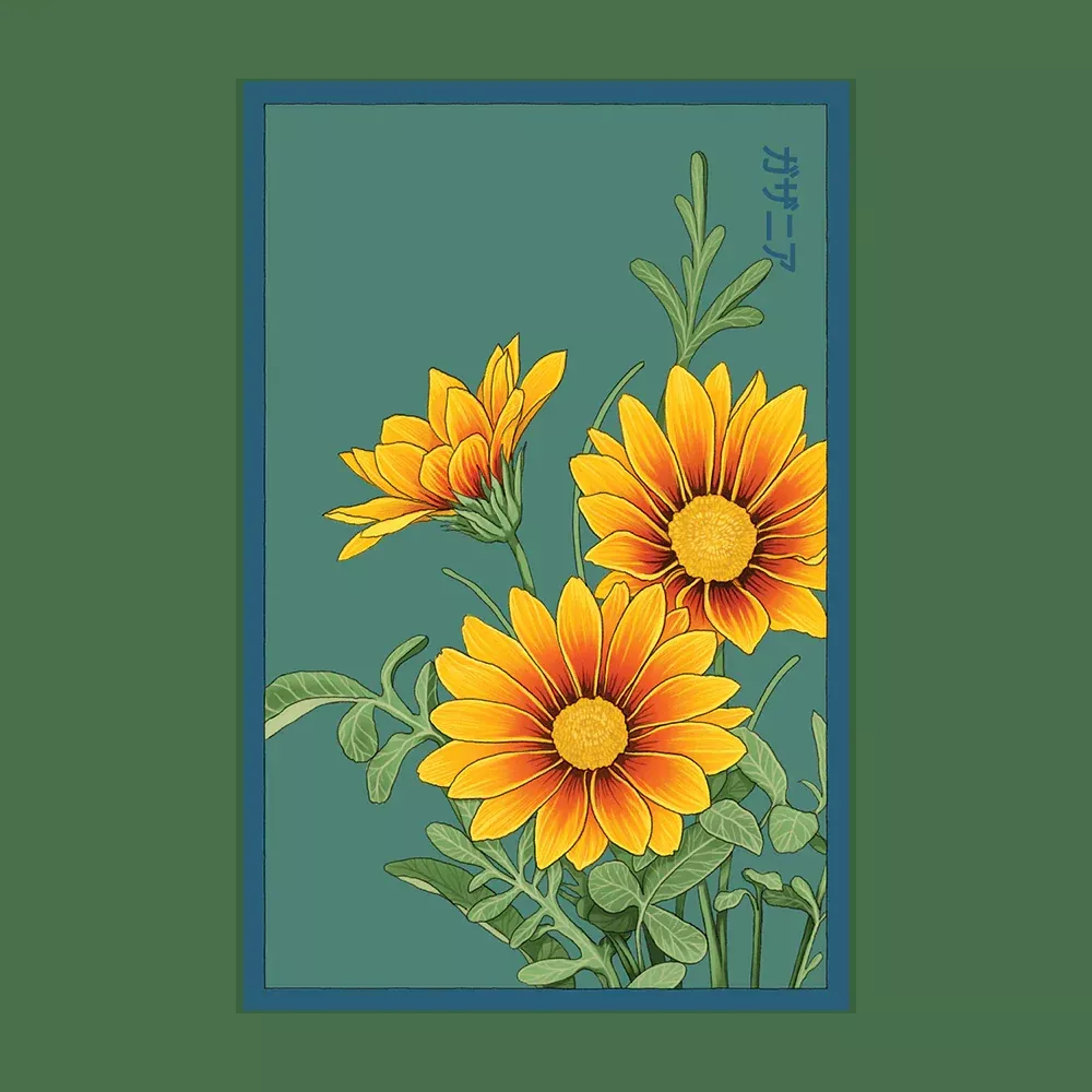 Shido Gazania Seed Packet