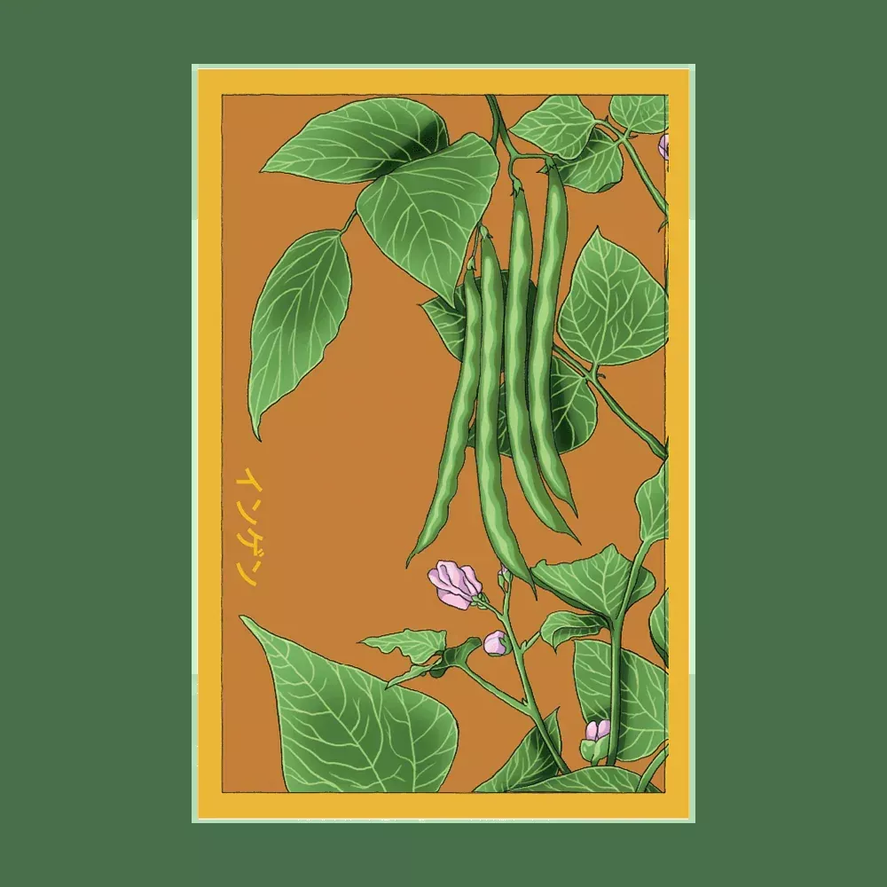 Shido Green Beans Seed Packet