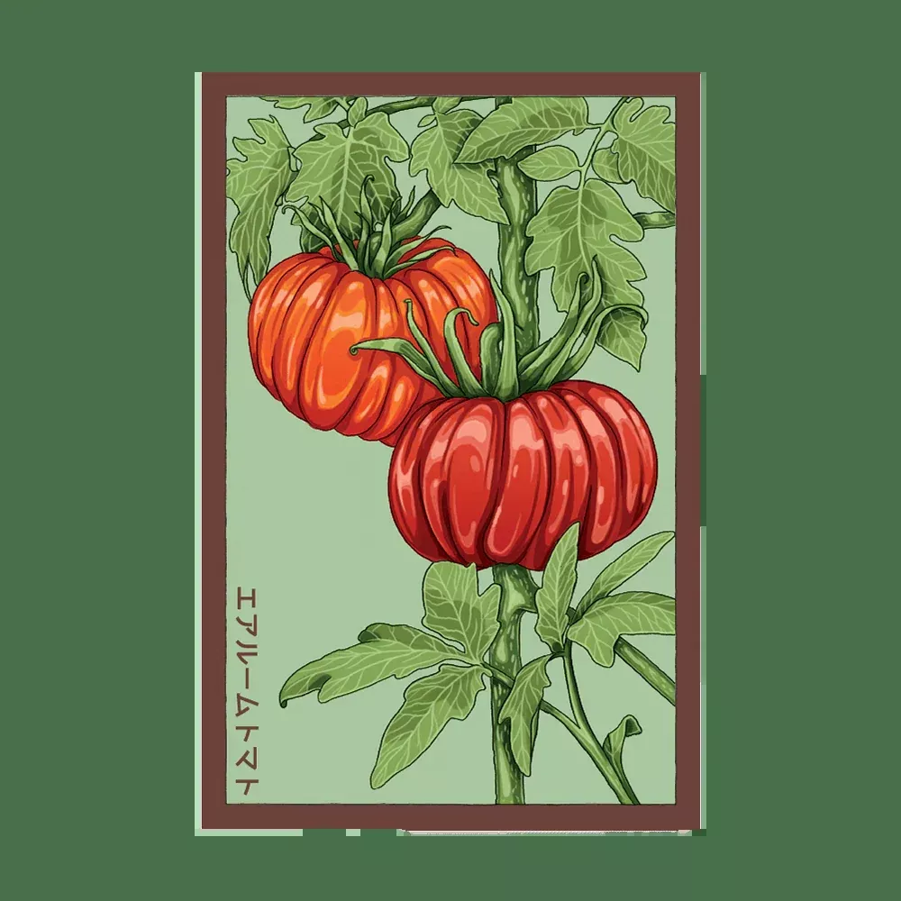 Shido Heirloom Tomato Seed Packet
