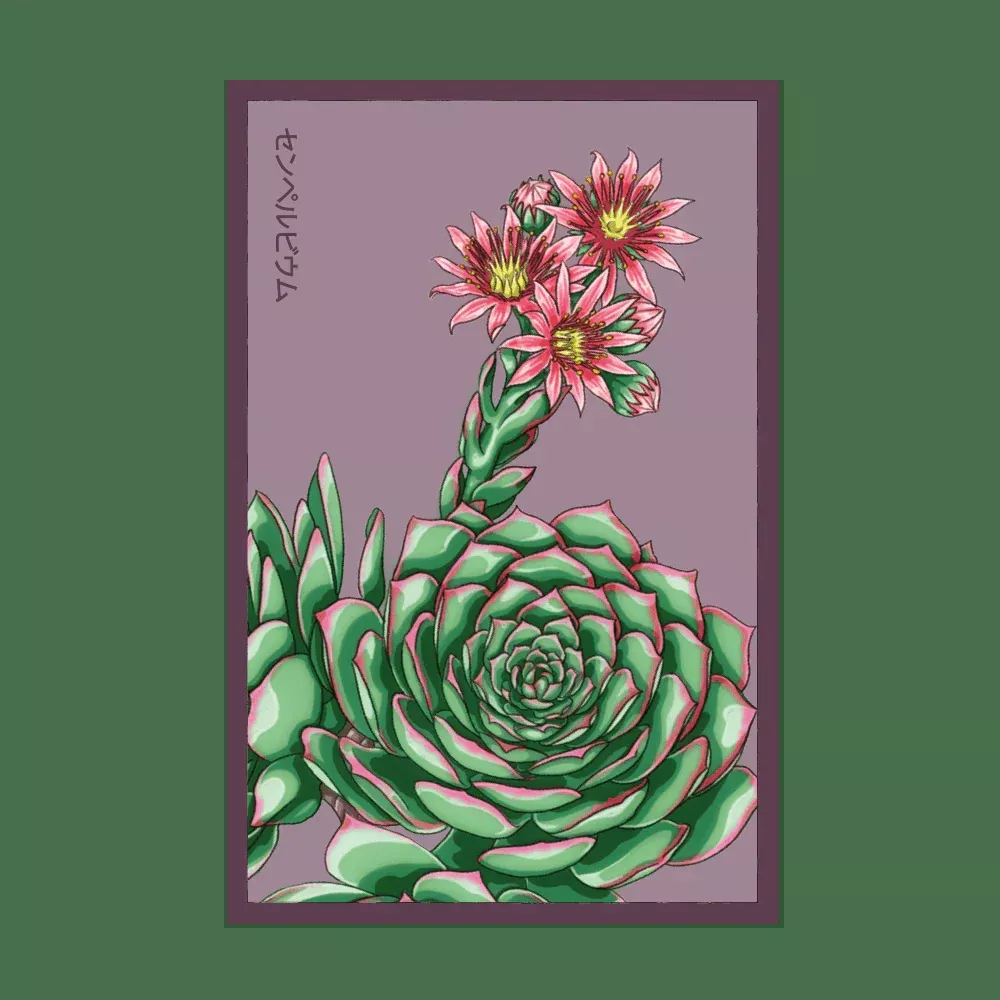 Shido Hens and Chicks Seed Packet