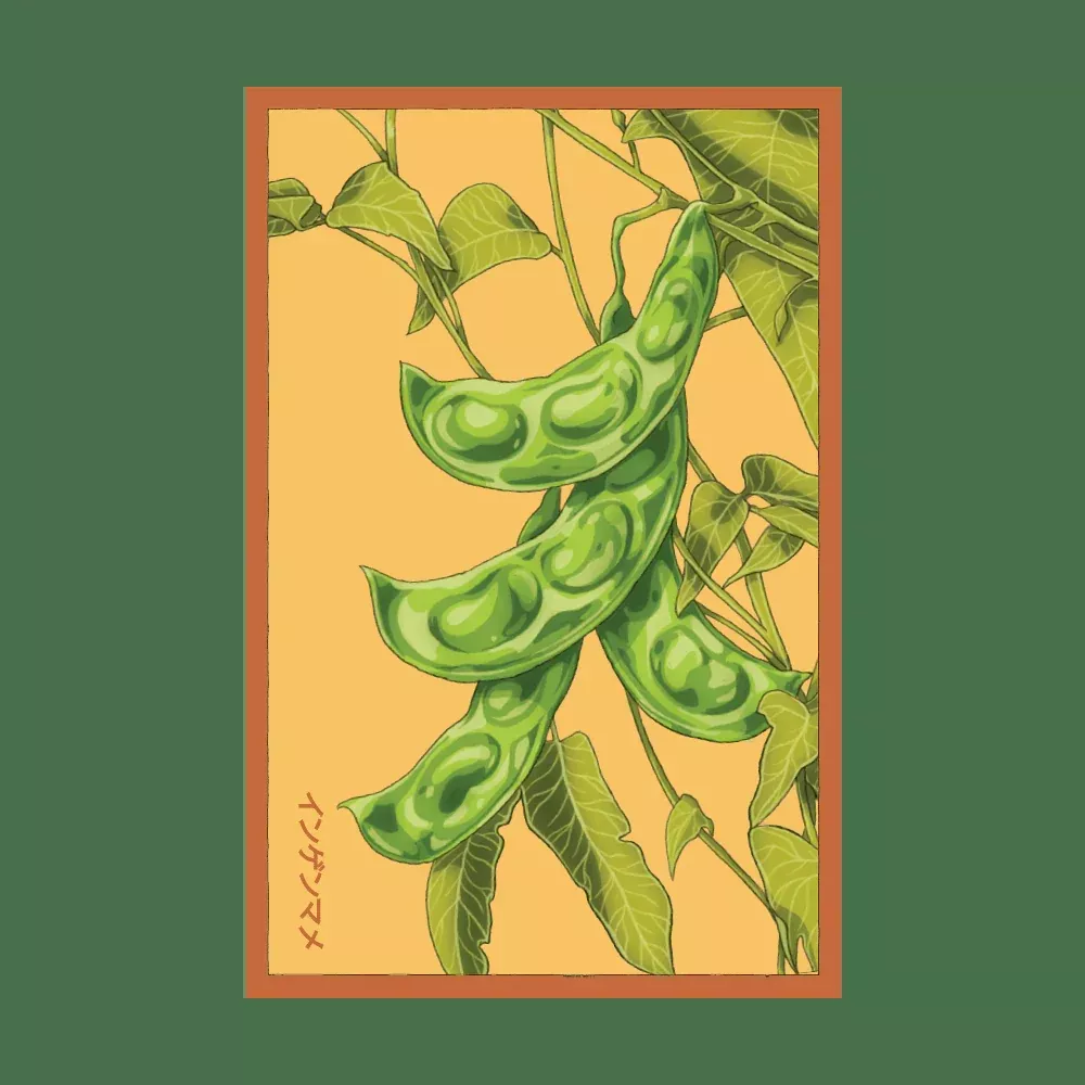 Shido King of the Garden Lima Bean Seed Packet