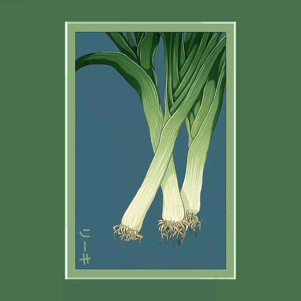 Shido Leek Seed Packet