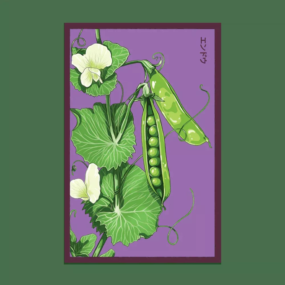 Shido Little Marvel Pea Seed Packet