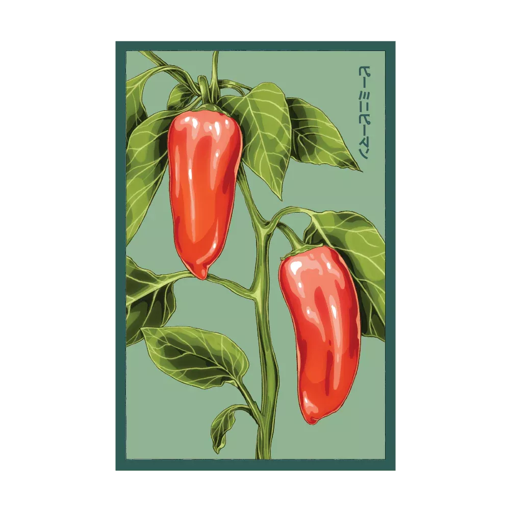Shido Mini Sweet Pepper Seed Packet