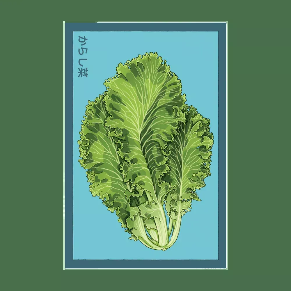 Shido Mustard Green Seed Packet