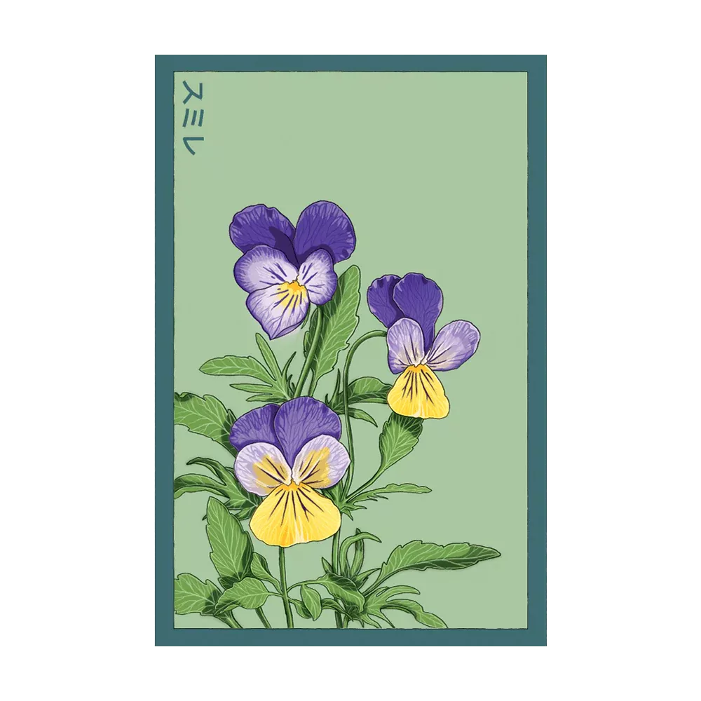 Shido Pansy Seed Packet