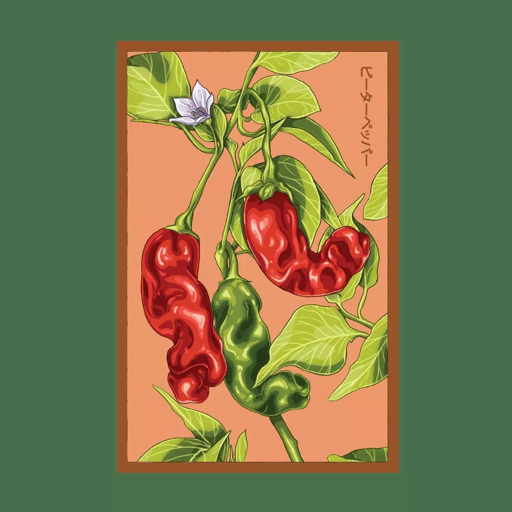 Shido Peter Pepper Seed Packet
