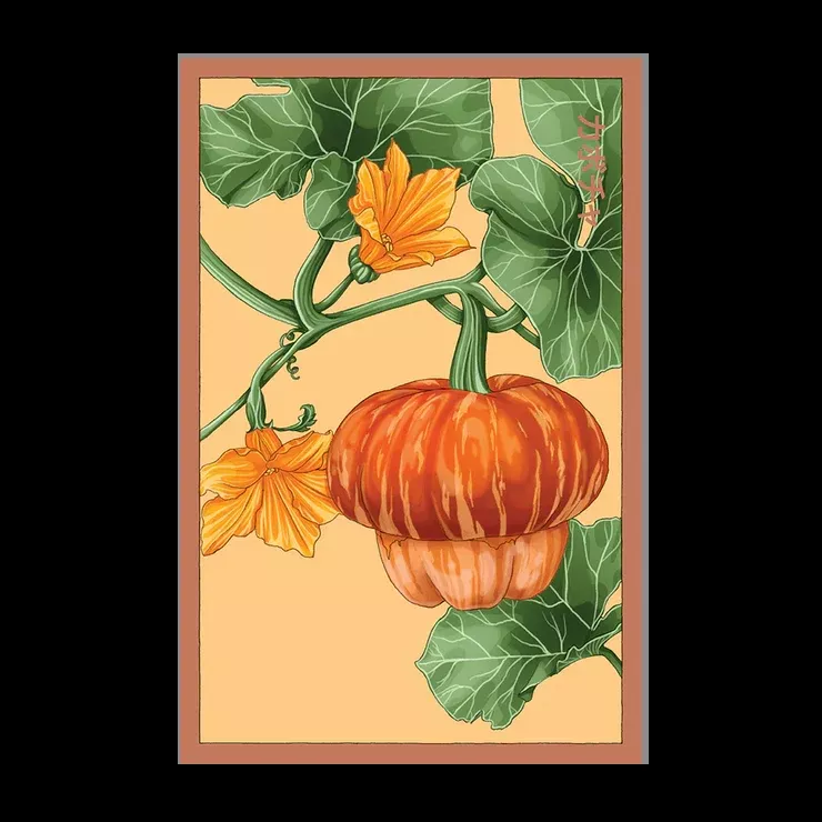 Shido Pumpkin Seed Packet