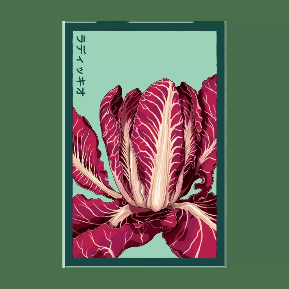 Shido Radicchio Seed Packet
