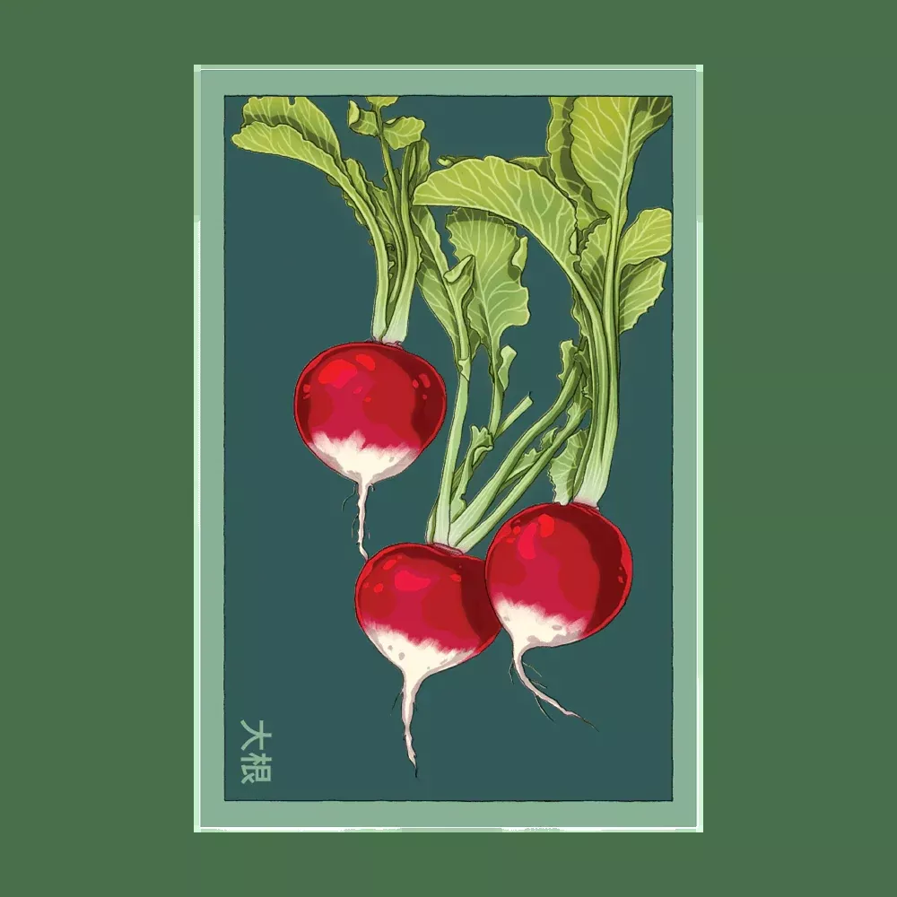 Shido Radish Seed Packet