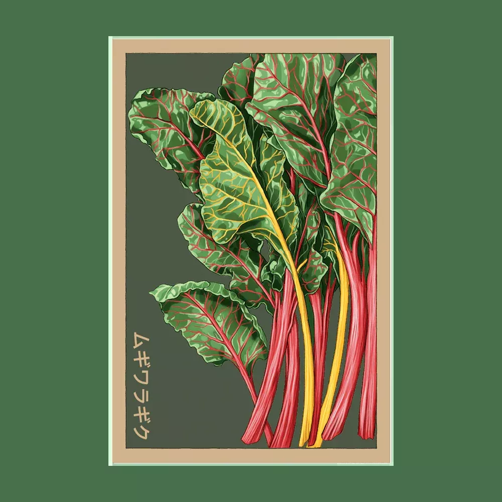 Shido Rainbow Chard Seed Packet